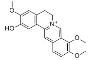 非洲防己碱-CAS:3621-36-1