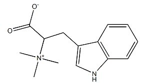 刺桐碱-CAS:487-58-1