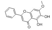 黄芩素-7-甲醚-CAS:29550-13-8