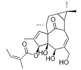 巨大戟醇-3-O-当归酸酯-CAS:75567-37-2