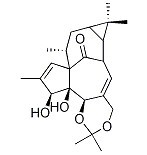 巨大戟醇-5,20-缩丙酮-CAS:77573-43-4