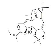 巨大戟醇-5,20-缩丙酮-3-当归酸酯-CAS:87980-68-5