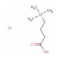 丁基甜菜碱盐酸盐-CAS:6249-56-5