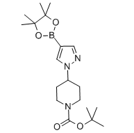 4-[4-(4,4,5,5-四甲基-1,3,2-二氧杂环戊硼烷-2-基)-1H-吡唑-1-基]哌啶-1-甲酸叔丁酯-CAS:877399-74-1