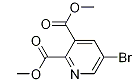 5-溴吡啶-2,3-二羧酸二甲酯-CAS:521980-82-5