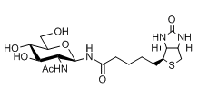 N-GLCNAC-生物素-CAS:1272755-69-7