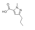 1-甲基-3-丙基-1H-吡唑-5-羧酸-CAS:139755-99-0
