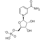 β-烟酰胺单核苷酸-CAS:1094-61-7
