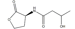 N-[（RS）-3-羟基丁酰基]-L-高丝氨酸内酯-CAS:1325550-06-8