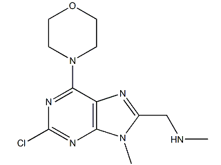 (2-氯-9-甲基吗啉-6-9-嘌呤-8-基)-甲基甲胺-CAS:1929582-97-7