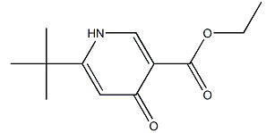 6-叔丁基-4-氧代-1,4-二氢吡啶-3-羧酸乙酯-CAS:134653-98-8