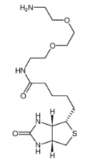 生物素-PEG2-胺-CAS:138529-46-1