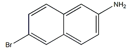 6-溴-2-氨基萘-CAS:7499-66-3