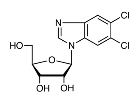 5,6-二氯苯并咪唑1-β-D-次黄嘌呤-CAS:53-85-0