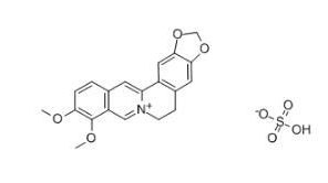 硫酸小檗碱-CAS:633-66-9