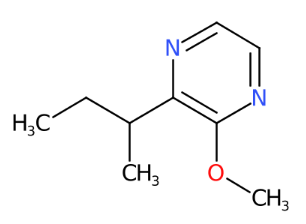 2-仲丁基-3-甲氧基吡嗪-CAS:24168-70-5