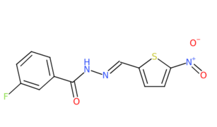 3-氟-N'-((5-硝基噻吩-2-基)亚甲基)苯甲酰肼-CAS:394694-98-5