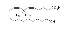脂氧合酶-CAS:89560-01-0