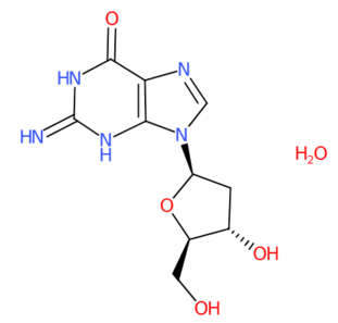 2’-脱氧鸟苷一水合物-CAS:312693-72-4