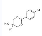 2-(4-氯苯基)-5,5-二甲基-1,3,2-二氧硼杂环己烷-CAS:827605-29-8