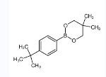 2-(4-(叔丁基)苯基)-5,5-二甲基-1,3,2-二氧硼烷-CAS:905966-37-2