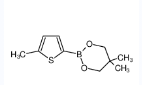 5-甲基噻吩-2-硼酸新戊二醇酯-CAS:1352304-52-9