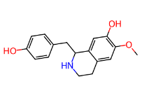 衡州乌药碱-CAS:2196-60-3