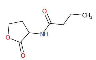 N-(2-氧代四氢呋喃-3-基)丁酰胺-CAS:98426-48-3