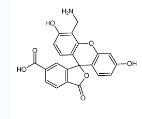 4'-氨甲基-5-羧基荧光素-CAS:326802-08-8