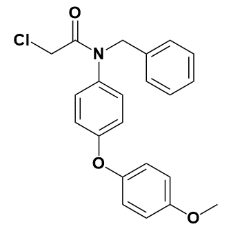 2-氯-N-[4-(4-甲氧基苯氧基)苯基]-N-(苯基甲基)-乙酰胺-CAS:2361138-33-0