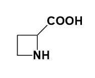 氮杂环丁烷-2-羧酸-CAS:2517-04-6