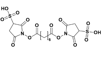 1,1’-(辛二酰基双(氧基))双(2,5-二氧代吡咯烷-3-磺酸)-CAS:82436-77-9
