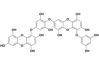 4-(4-((6-(3,5-二羟基苯氧基)-4,7,9-三羟基二苯并[b,e][1,4]二氧杂环己烷基-2-基)氧基)-3,5-二羟基苯氧基)二苯并[b,e][1,4]二氧杂环己烷基-1,3,6,8-四醇-CAS:88095-77-6