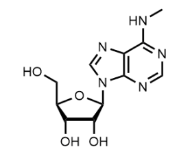 N6-甲基腺苷-CAS:1867-73-8
