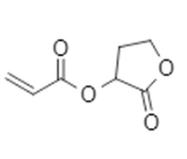 2-氧代四氢呋喃-3-羰基-丙烯酸酯-CAS:328249-37-2