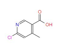 6-氯-4-甲基-3-吡啶羧酸-CAS:503555-50-8