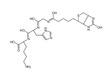 生物素酰基甘氨酰组氨酰赖氨酸-CAS:299157-54-3