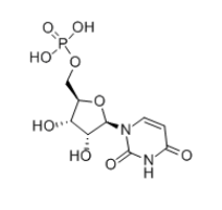 5-尿苷一磷酸-CAS:58-97-9
