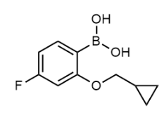 2-(环丙基甲氧基)-4-氟苯基硼酸-CAS:1627839-42-2