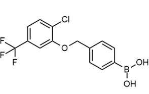 4-[(2'-氯-5'-(三氟甲基)苯氧基)甲基]苯基硼酸-CAS:849062-05-1