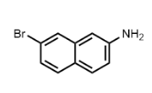 7-溴萘-2-胺-CAS:590417-30-4