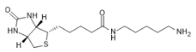N-(5-氨基戊基)-5-((3aS,4S,6aR)-2-氧六氢-1H-硫代[3,4-d]咪唑-4-基)戊酰胺-CAS:115416-38-1