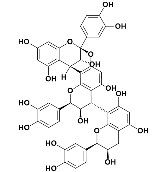 桂皮鞣质B1-CAS:88082-60-4