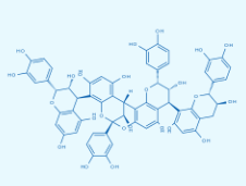 桂皮鞣质D2-CAS:97233-47-1