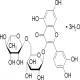 芸香叶苷-CAS:153-18-4