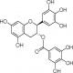 没食子酸儿茶素没食子酸酯-CAS:4233-96-9