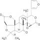 吴茱萸内酯-CAS:1180-71-8