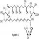 制霉菌素-CAS:1400-61-9