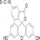 异硫氰酸荧光素（异构体I）-CAS:3326-32-7