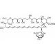 两性霉素B-CAS:1397-89-3